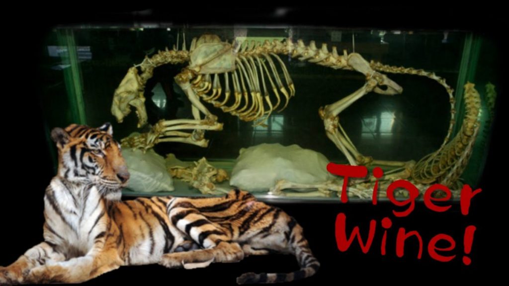Tiger Wine Poster @ China Uncensored