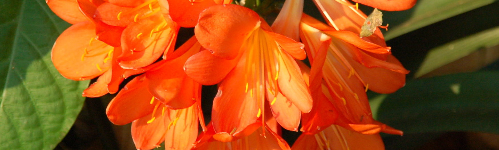 Sudwala Caves - our first Africa Overland Trip